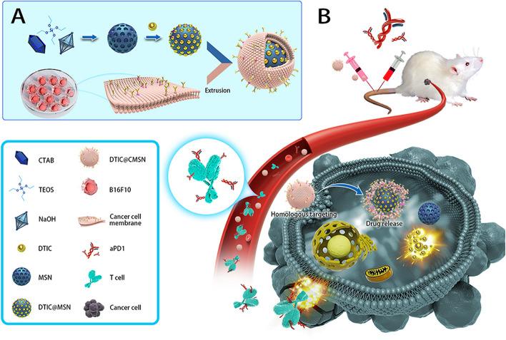 https://cdn.ncbi.nlm.nih.gov/pmc/blobs/0476/10559482/f2847f0819a0/12943_2023_1854_Fig11_HTML.jpg