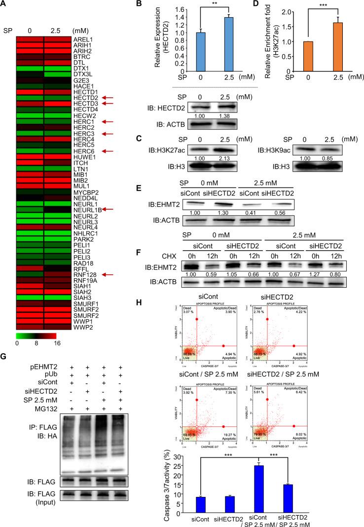 https://cdn.ncbi.nlm.nih.gov/pmc/blobs/0476/9038766/7ad06432dc9e/41396_2021_1119_Fig3_HTML.jpg