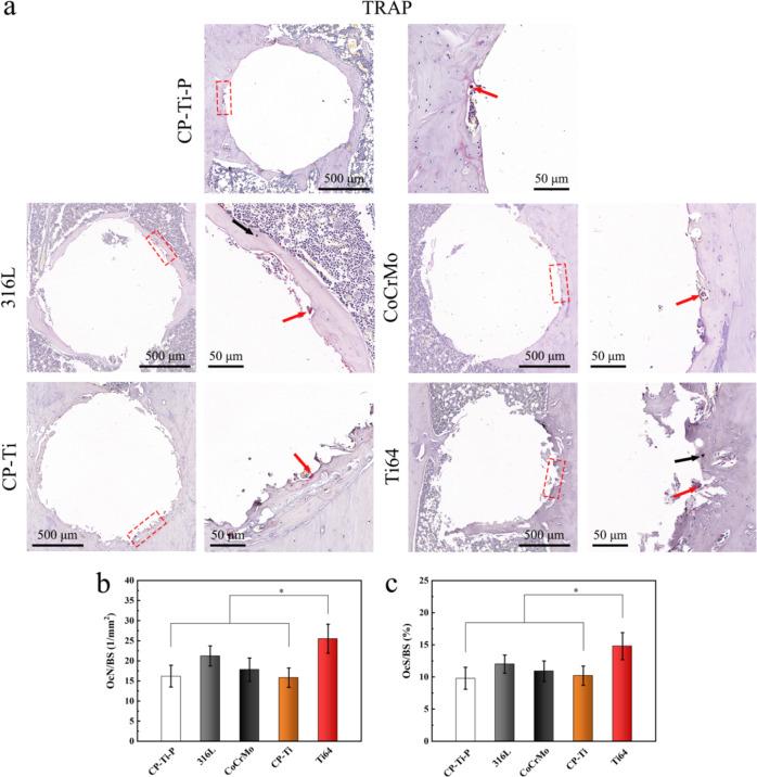 https://cdn.ncbi.nlm.nih.gov/pmc/blobs/0479/10212846/849d0a2f508e/10856_2023_6727_Fig13_HTML.jpg