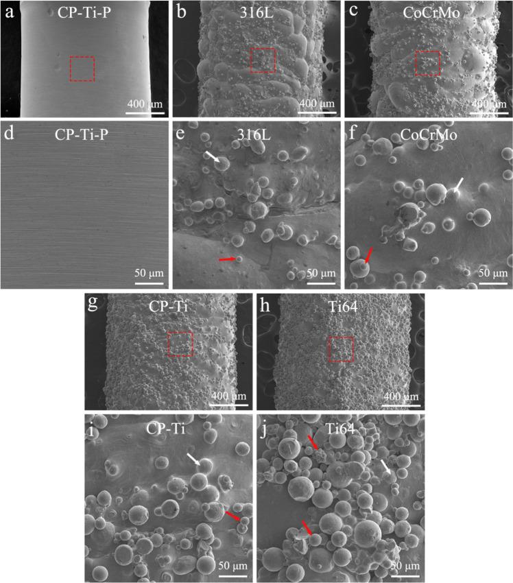 https://cdn.ncbi.nlm.nih.gov/pmc/blobs/0479/10212846/c21314299db2/10856_2023_6727_Fig4_HTML.jpg