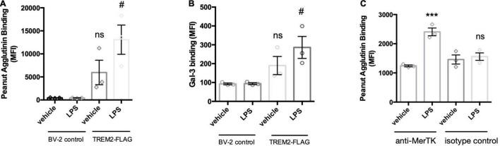 https://cdn.ncbi.nlm.nih.gov/pmc/blobs/0479/9178234/120d5afde89d/fncel-16-917884-g006.jpg