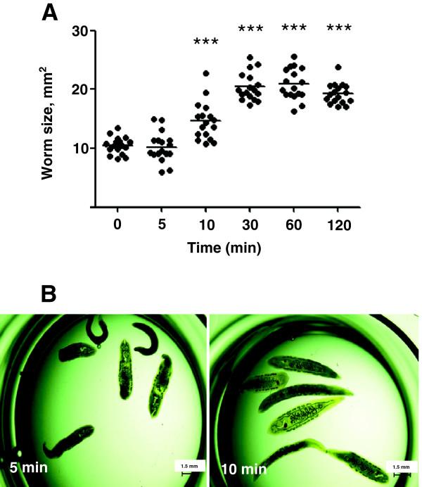 https://cdn.ncbi.nlm.nih.gov/pmc/blobs/047a/4033688/32e3592aa7ad/1756-3305-7-224-5.jpg