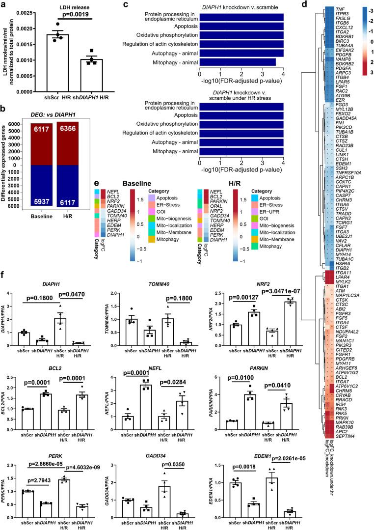 https://cdn.ncbi.nlm.nih.gov/pmc/blobs/047b/10616211/45ea8e86553b/41467_2023_42521_Fig3_HTML.jpg