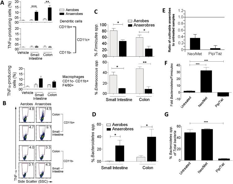 https://cdn.ncbi.nlm.nih.gov/pmc/blobs/047d/4533325/7b630205e5be/bmjgast2014000009f01.jpg