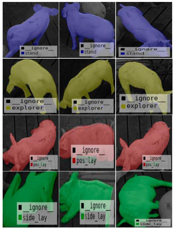 https://cdn.ncbi.nlm.nih.gov/pmc/blobs/047e/8147168/d9566a7d341d/animals-11-01295-g006.jpg