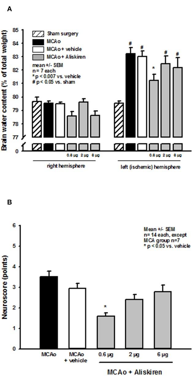 https://cdn.ncbi.nlm.nih.gov/pmc/blobs/047f/6737892/0740549fad5d/fneur-10-00942-g0004.jpg