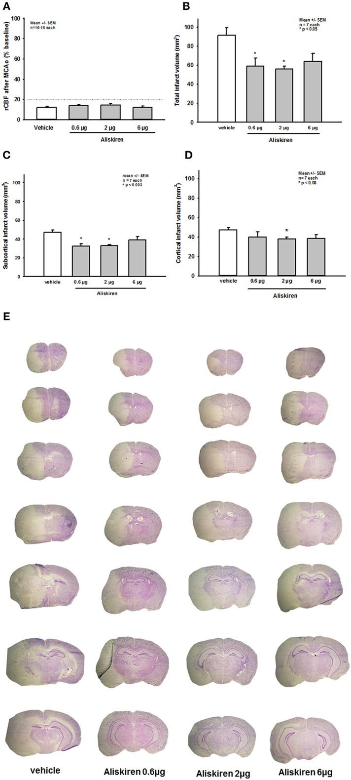 https://cdn.ncbi.nlm.nih.gov/pmc/blobs/047f/6737892/07c534d8939b/fneur-10-00942-g0003.jpg