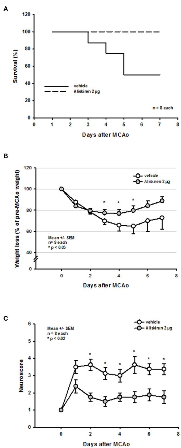 https://cdn.ncbi.nlm.nih.gov/pmc/blobs/047f/6737892/db390ef6c455/fneur-10-00942-g0006.jpg