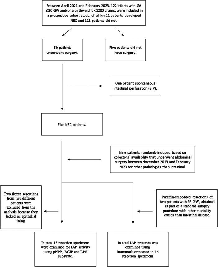 https://cdn.ncbi.nlm.nih.gov/pmc/blobs/0480/11091495/bd6511620a18/fped-12-1401090-g001.jpg