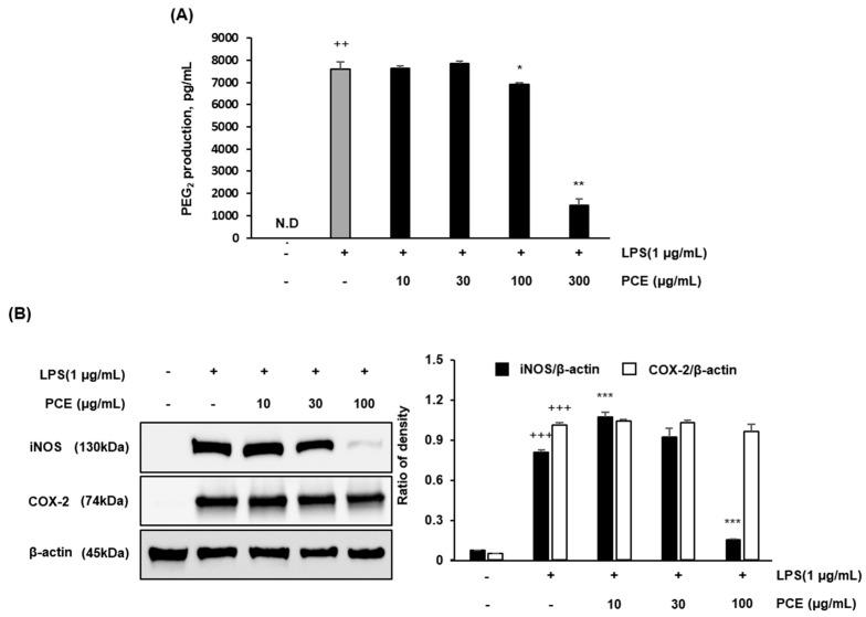 https://cdn.ncbi.nlm.nih.gov/pmc/blobs/0480/12298494/01fcb1cd6c10/plants-14-02178-g003.jpg
