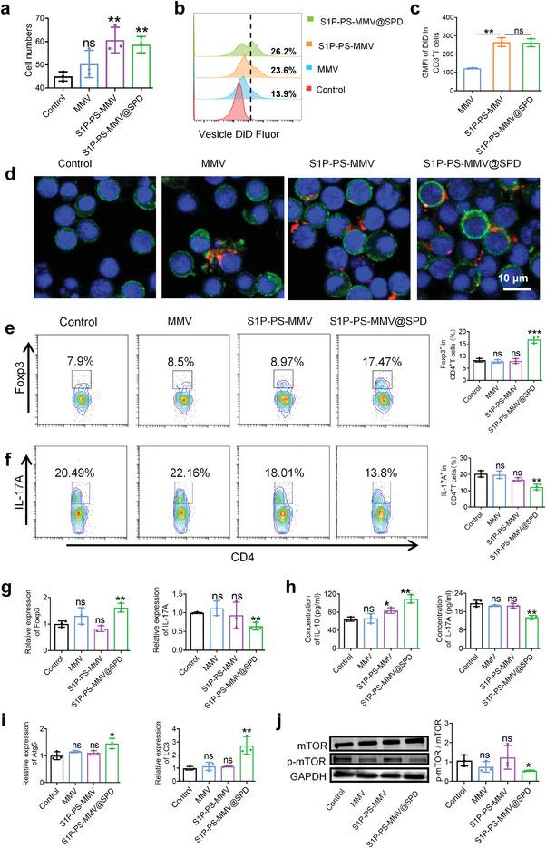 https://cdn.ncbi.nlm.nih.gov/pmc/blobs/0482/11267389/77f2f67c587e/ADVS-11-2404198-g009.jpg