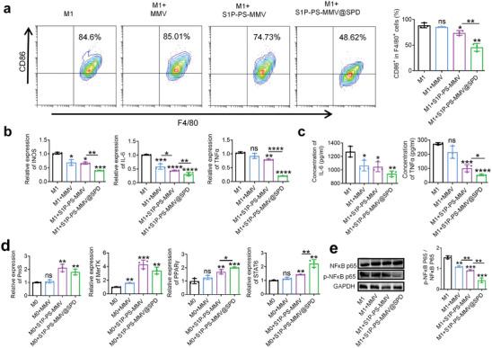 https://cdn.ncbi.nlm.nih.gov/pmc/blobs/0482/11267389/c00a85c701c1/ADVS-11-2404198-g002.jpg