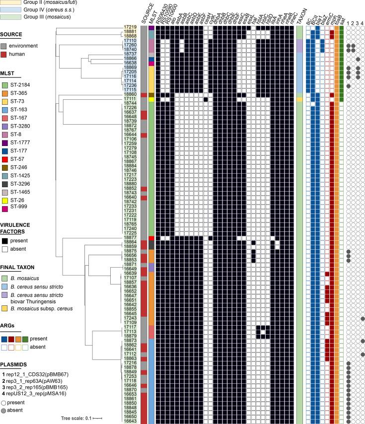 https://cdn.ncbi.nlm.nih.gov/pmc/blobs/0482/12421256/75457beb1437/mgen-11-01487-g002.jpg