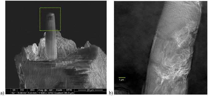 https://cdn.ncbi.nlm.nih.gov/pmc/blobs/0482/5517423/6f0947e16239/41598_2017_5690_Fig5_HTML.jpg