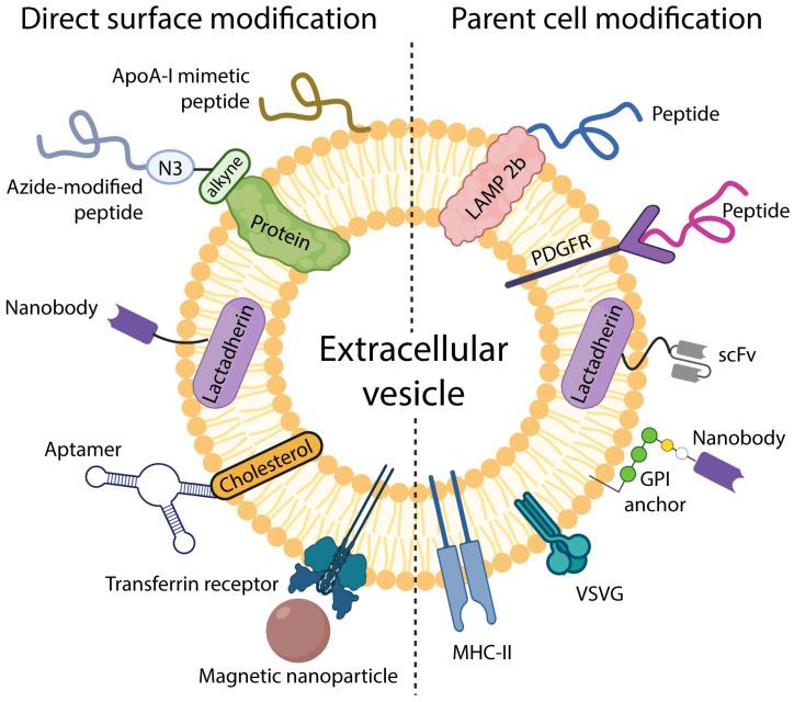 https://cdn.ncbi.nlm.nih.gov/pmc/blobs/0488/9598801/0dd6fdf387d5/bioengineering-09-00496-g001.jpg