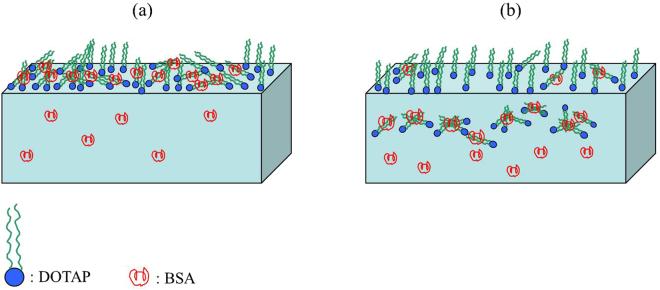 https://cdn.ncbi.nlm.nih.gov/pmc/blobs/0489/5762638/203875b072a9/41598_2017_18689_Fig6_HTML.jpg