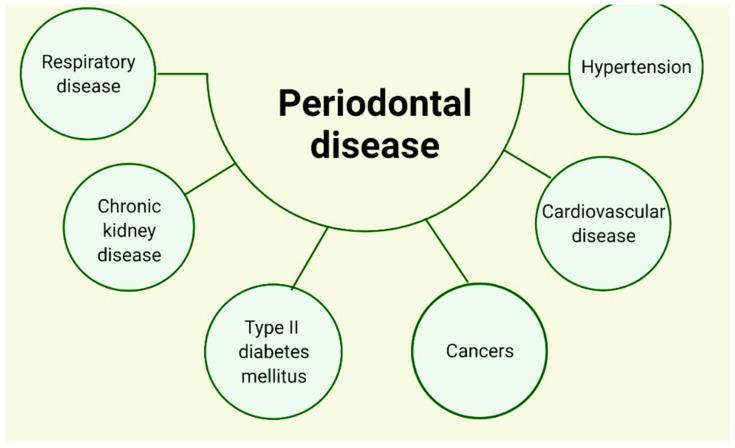 https://cdn.ncbi.nlm.nih.gov/pmc/blobs/0489/9517300/23d4d1003ab8/ijerph-19-11383-g003.jpg