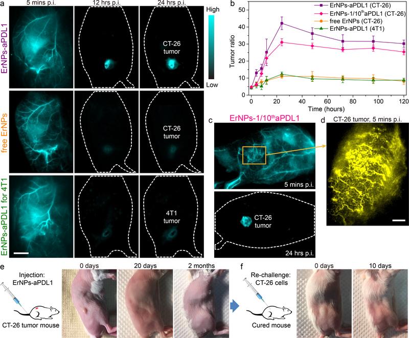 https://cdn.ncbi.nlm.nih.gov/pmc/blobs/048a/6858548/8031eaa3a4b0/nihms-1537863-f0003.jpg