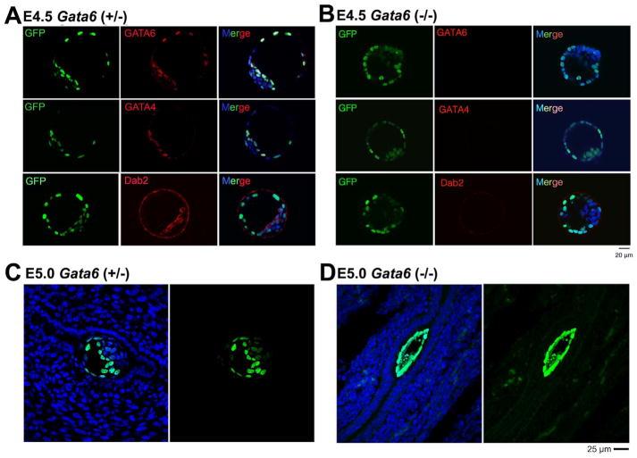 https://cdn.ncbi.nlm.nih.gov/pmc/blobs/048b/5912698/406995c41f38/nihms959230f2.jpg