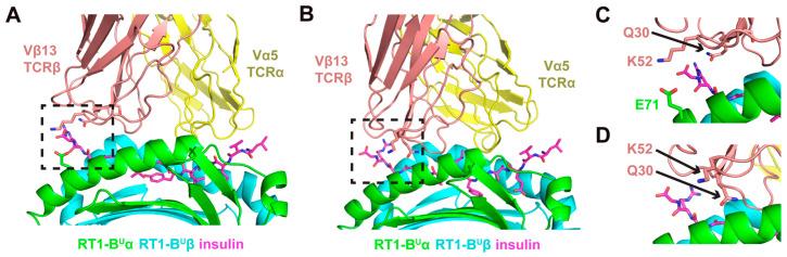 https://cdn.ncbi.nlm.nih.gov/pmc/blobs/048b/8227067/8d7ed0fb0b0a/genes-12-00852-g004.jpg