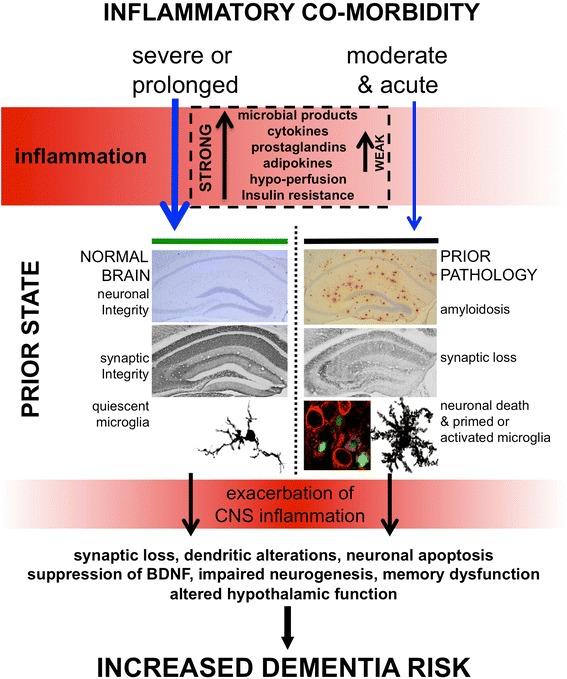 https://cdn.ncbi.nlm.nih.gov/pmc/blobs/048d/4369837/c4e3289854af/13195_2015_117_Fig1_HTML.jpg