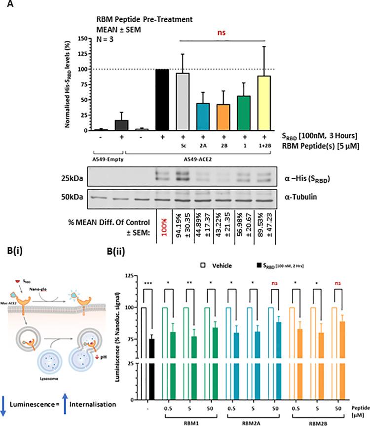 https://cdn.ncbi.nlm.nih.gov/pmc/blobs/048d/8601423/72df56b1a261/pone.0260283.g005.jpg
