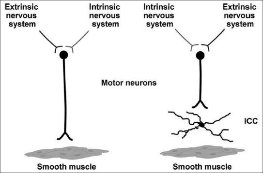 https://cdn.ncbi.nlm.nih.gov/pmc/blobs/0491/3603487/1d1d88c44066/SJG-19-3-g003.jpg