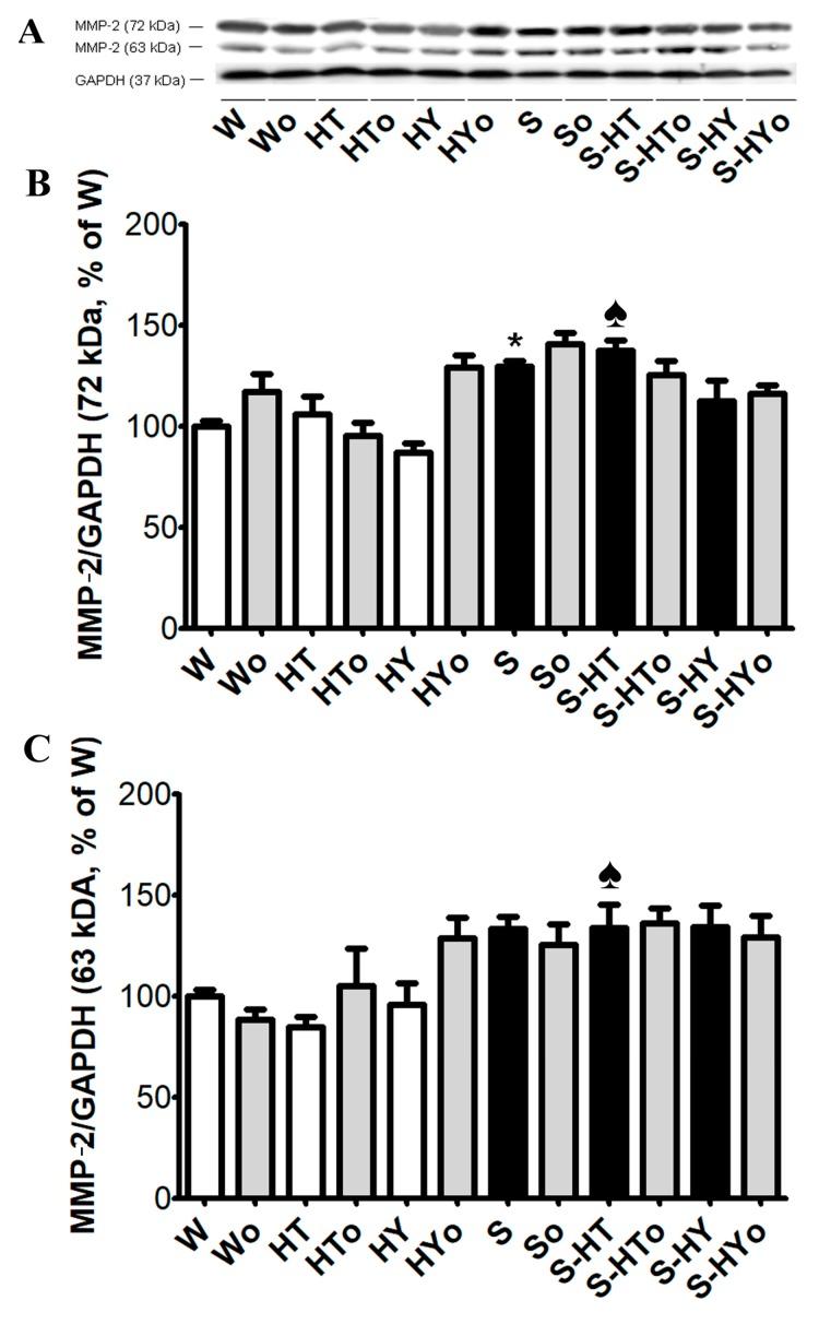 https://cdn.ncbi.nlm.nih.gov/pmc/blobs/0491/6696036/0a9e98dedae8/ijms-20-03758-g007.jpg