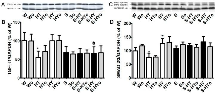 https://cdn.ncbi.nlm.nih.gov/pmc/blobs/0491/6696036/8f8627e7c83e/ijms-20-03758-g006.jpg