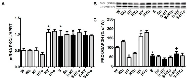 https://cdn.ncbi.nlm.nih.gov/pmc/blobs/0491/6696036/9e900f9a1936/ijms-20-03758-g005.jpg