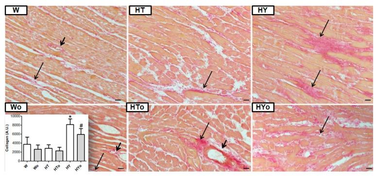 https://cdn.ncbi.nlm.nih.gov/pmc/blobs/0491/6696036/c5d2fa8872fe/ijms-20-03758-g009.jpg