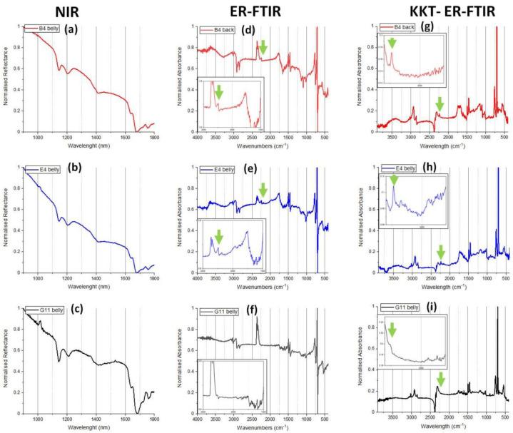 https://cdn.ncbi.nlm.nih.gov/pmc/blobs/0491/9824361/8496f6c16a93/polymers-15-00034-g011.jpg