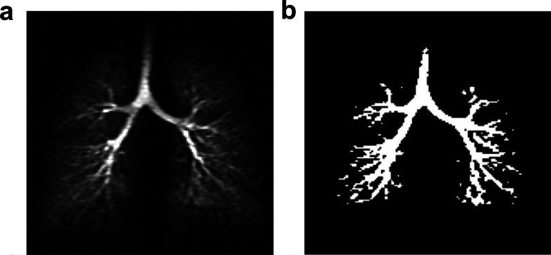 https://cdn.ncbi.nlm.nih.gov/pmc/blobs/0493/9385900/5a2a828c5be8/13244_2022_1262_Fig9_HTML.jpg