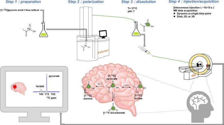 https://cdn.ncbi.nlm.nih.gov/pmc/blobs/0493/9385900/5c8c23798265/13244_2022_1262_Fig1_HTML.jpg