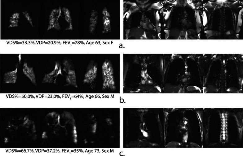 https://cdn.ncbi.nlm.nih.gov/pmc/blobs/0493/9385900/777dafa11824/13244_2022_1262_Fig8_HTML.jpg