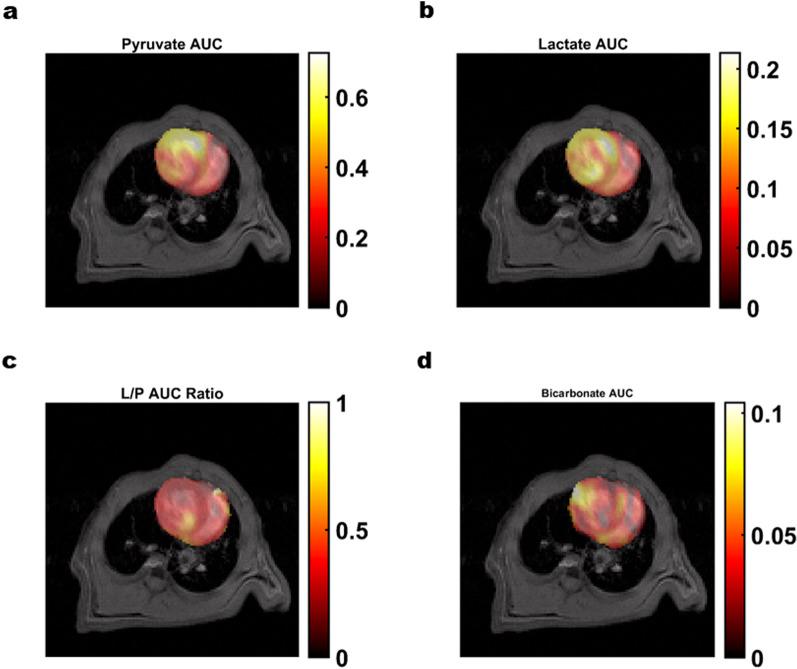 https://cdn.ncbi.nlm.nih.gov/pmc/blobs/0493/9385900/7cd6b1a980dd/13244_2022_1262_Fig10_HTML.jpg