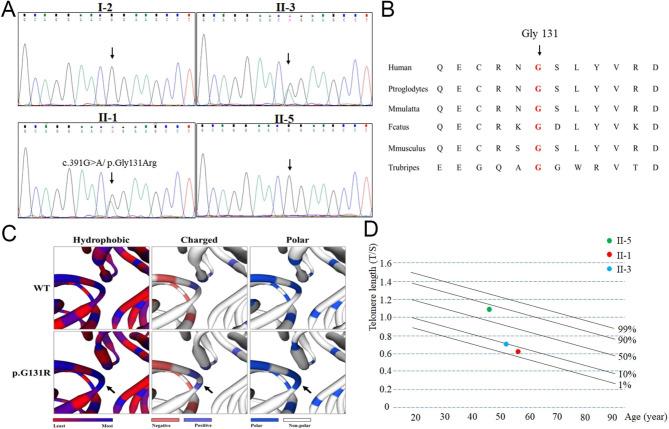 https://cdn.ncbi.nlm.nih.gov/pmc/blobs/0497/10656953/562518ab5557/41065_2023_299_Fig2_HTML.jpg
