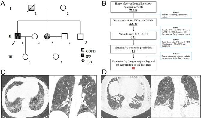 https://cdn.ncbi.nlm.nih.gov/pmc/blobs/0497/10656953/fd4b1ccf9c63/41065_2023_299_Fig1_HTML.jpg
