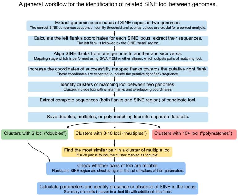 https://cdn.ncbi.nlm.nih.gov/pmc/blobs/0497/10670947/3e856d0d5312/genes-14-02089-g001.jpg