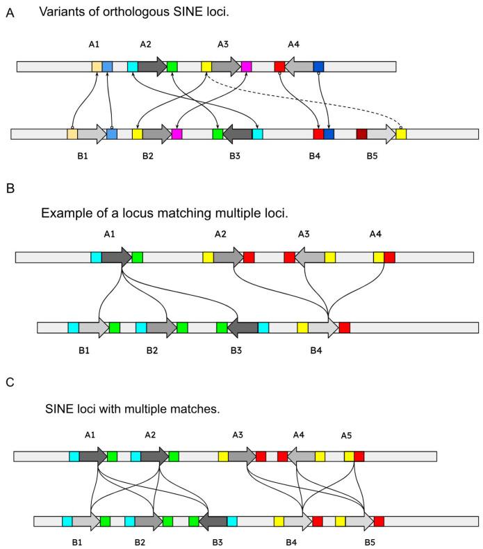 https://cdn.ncbi.nlm.nih.gov/pmc/blobs/0497/10670947/c5678513147b/genes-14-02089-g004.jpg
