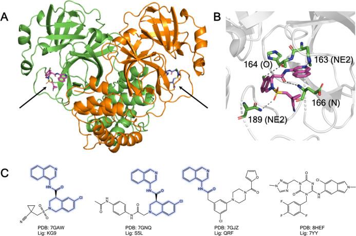 https://cdn.ncbi.nlm.nih.gov/pmc/blobs/0497/11866752/59ce8a658be7/ct4c01691_0004.jpg