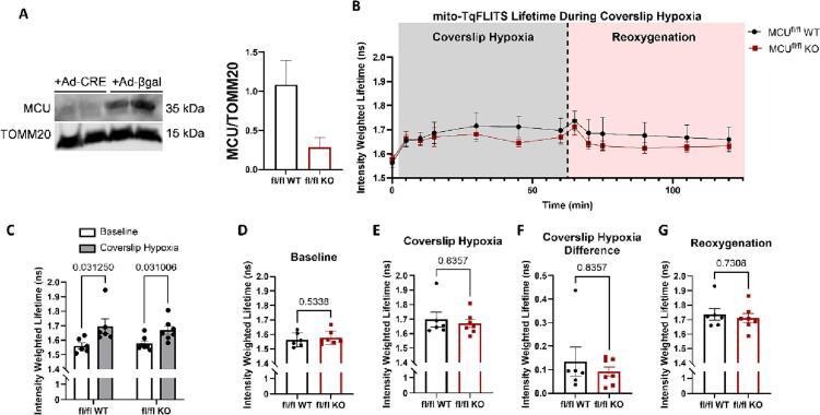 https://cdn.ncbi.nlm.nih.gov/pmc/blobs/0499/11708480/990d02ff2625/gr5.jpg