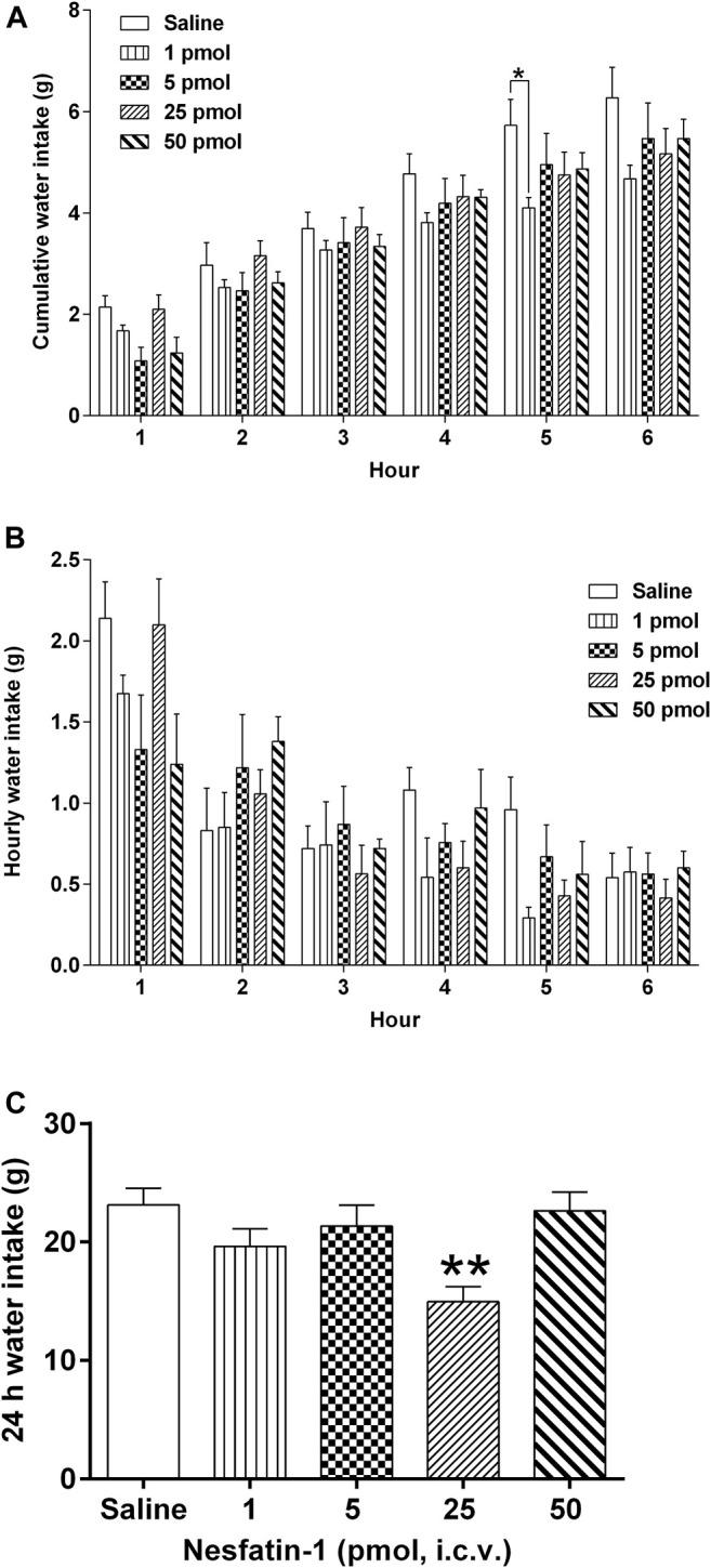 https://cdn.ncbi.nlm.nih.gov/pmc/blobs/0499/9019301/c4efd5001757/fphar-13-858522-g007.jpg