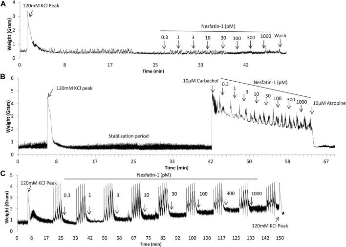 https://cdn.ncbi.nlm.nih.gov/pmc/blobs/0499/9019301/d018d043680e/fphar-13-858522-g004.jpg