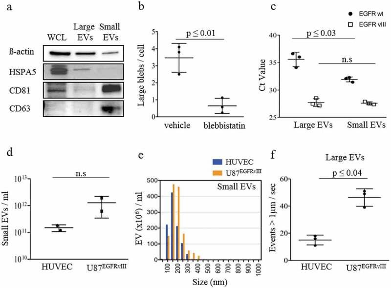 https://cdn.ncbi.nlm.nih.gov/pmc/blobs/049f/6896449/4ec307222e6c/ZJEV_A_1689784_F0002_OC.jpg