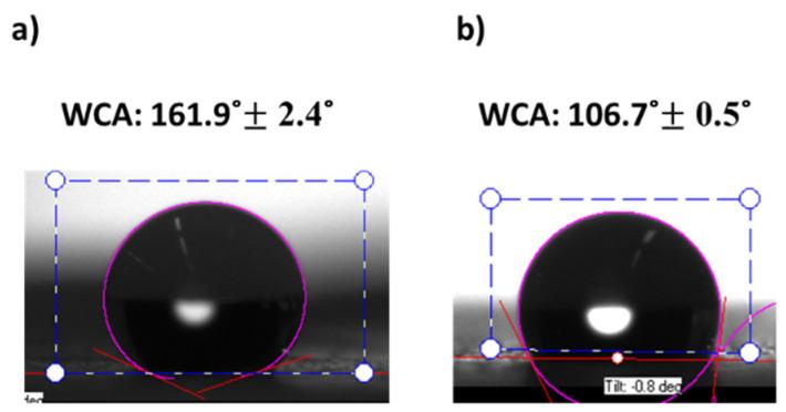https://cdn.ncbi.nlm.nih.gov/pmc/blobs/04a0/8659825/09d075e0c9e5/polymers-13-04164-g019.jpg