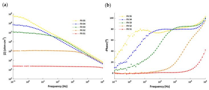 https://cdn.ncbi.nlm.nih.gov/pmc/blobs/04a0/8659825/bd6e52b59c3e/polymers-13-04164-g016a.jpg