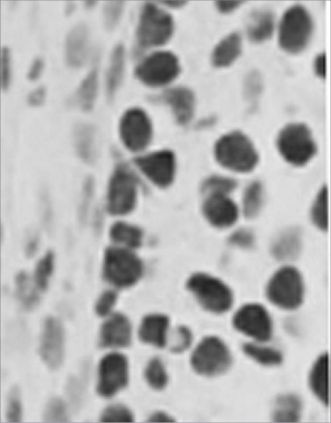 https://cdn.ncbi.nlm.nih.gov/pmc/blobs/04a0/9442059/1034c3c2c68d/gr2.jpg