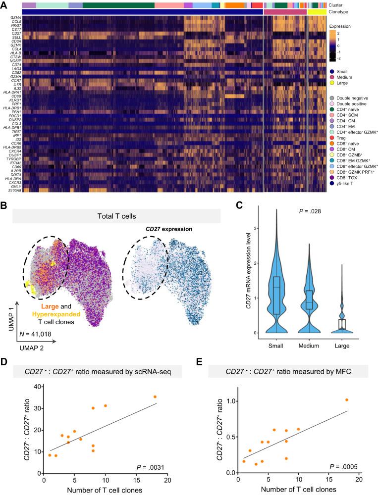 https://cdn.ncbi.nlm.nih.gov/pmc/blobs/04a2/10511411/abd92f6c8725/41467_2023_41562_Fig4_HTML.jpg