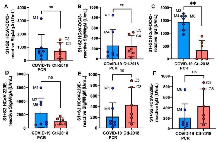 https://cdn.ncbi.nlm.nih.gov/pmc/blobs/04a5/7916441/8592a3ca278b/ijms-22-01749-g002.jpg